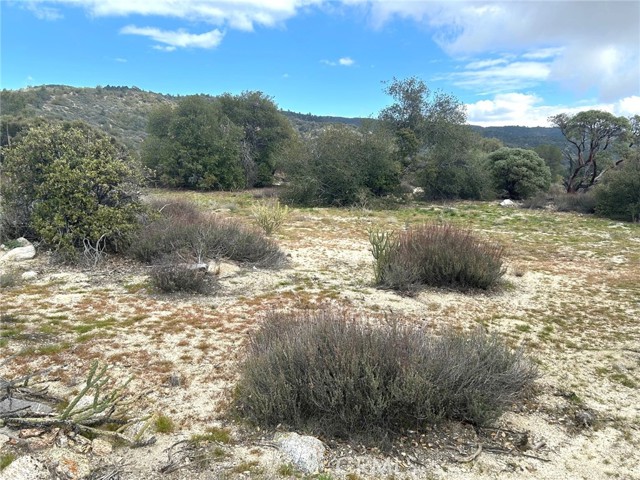 Detail Gallery Image 21 of 29 For 0 Oak Rd, Anza,  CA 92539 - – Beds | – Baths