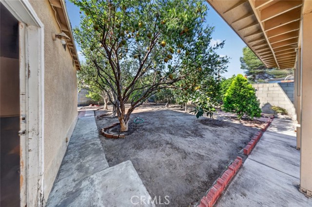 11407 Delano photo 39