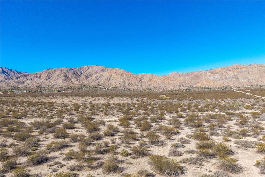 MLS #JT25257791 image #12