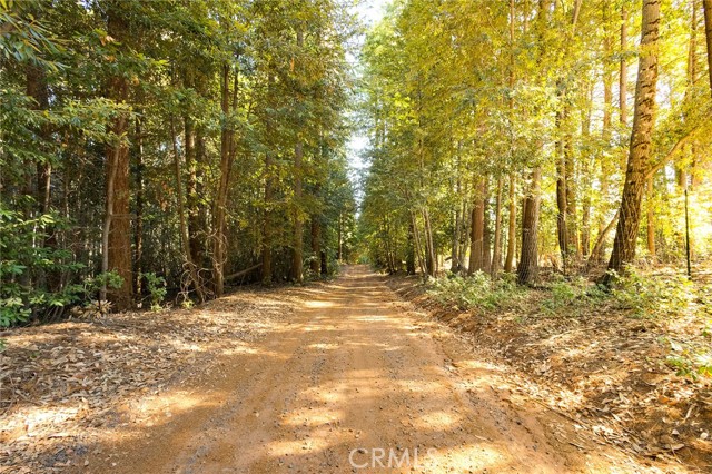 0 Neal Road, Magalia, California 95954, ,Land,For Sale,0 Neal Road,CRSN23170546