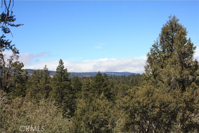 Detail Gallery Image 29 of 55 For 615 Kean Way, Big Bear City,  CA 92314 - – Beds | – Baths