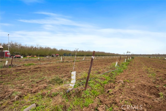 Detail Gallery Image 14 of 47 For 16221 Carrolton, Escalon,  CA 95320 - – Beds | – Baths