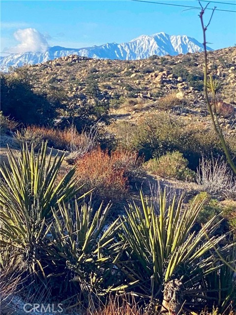 56564 Nelson Avenue, Yucca Valley CA: https://media.crmls.org/medias/a81c5552-6434-428b-9fe5-ca131760a5c1.jpg