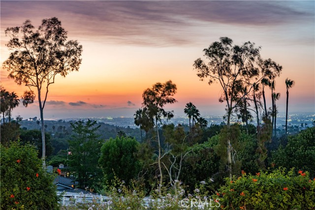 16 Roadrunner Road, Rolling Hills CA: https://media.crmls.org/medias/a822ac5f-1b08-4bf2-ad6a-6b225a8d3122.jpg