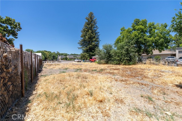 Image 13 of 15 For 10237 Live Oak Boulevard
