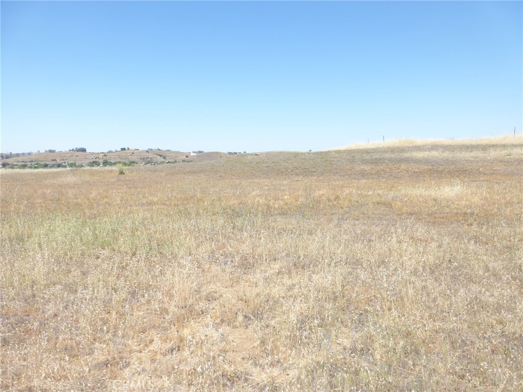 13040 River Bluffs (Lot 8) Lane