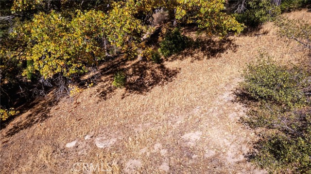 Detail Gallery Image 10 of 40 For 0 Mojave River Rd, Cedarpines Park,  CA 92322 - – Beds | – Baths