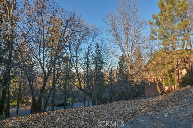 Detail Gallery Image 7 of 12 For 1411 Yosemite Dr, Lake Arrowhead,  CA 92352 - – Beds | – Baths