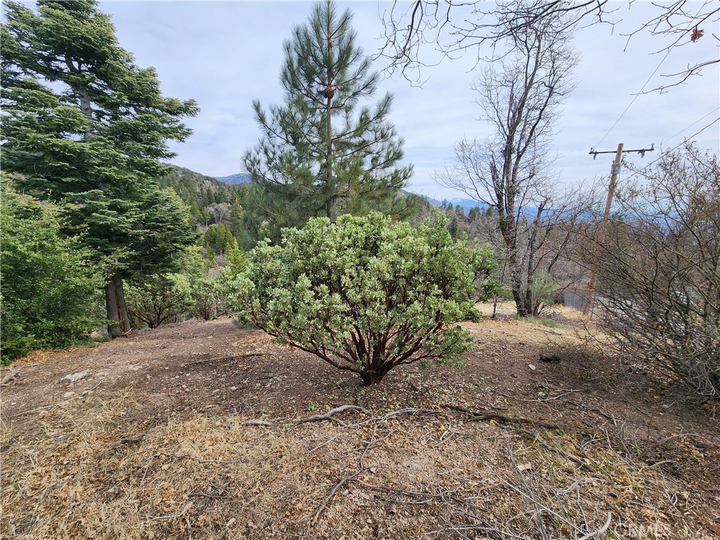 MLS #IG25045374 image #27