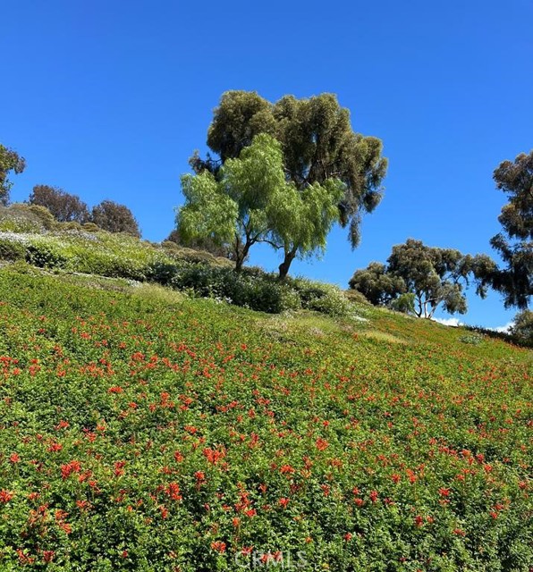 Detail Gallery Image 44 of 44 For 1074 Calle Del Cerro #1805,  San Clemente,  CA 92672 - 2 Beds | 2 Baths