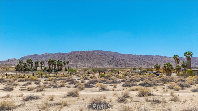 Detail Gallery Image 18 of 20 For 0 Cottonwood Dr, Twentynine Palms,  CA 92277 - – Beds | – Baths