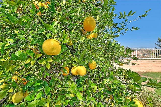 Detail Gallery Image 65 of 72 For 16243 Annatto Ct, Chino Hills,  CA 91709 - 4 Beds | 3 Baths