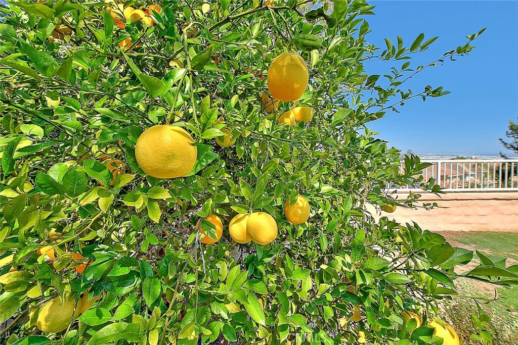 https://media.crmls.org/medias/a841069b-c86f-449d-a05a-6a5d98fa3b77.jpg?preset=X-Large