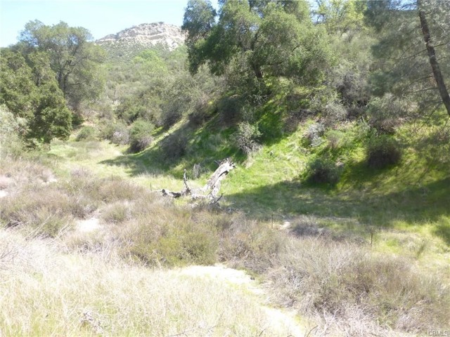 0 0 Vineyard Canyon Parcel 29, San Miguel, California 93451, ,Land,For Sale,0 0 Vineyard Canyon Parcel 29,CRNS23160263