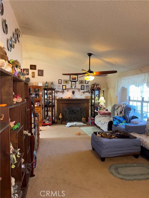 Detail Gallery Image 3 of 57 For 7117 Bonita, Joshua Tree,  CA 92252 - 3 Beds | 2 Baths