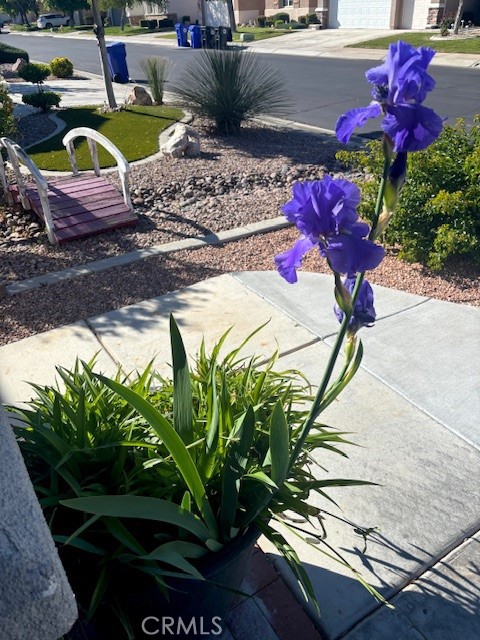 Detail Gallery Image 42 of 45 For 10812 Katepwa St, Apple Valley,  CA 92308 - 2 Beds | 2 Baths