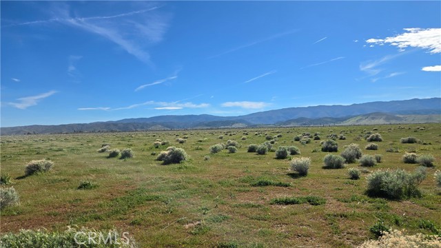 Detail Gallery Image 5 of 39 For 0 Avenue B-8 Vicinity 265th St W, –,  CA 93536 - – Beds | – Baths