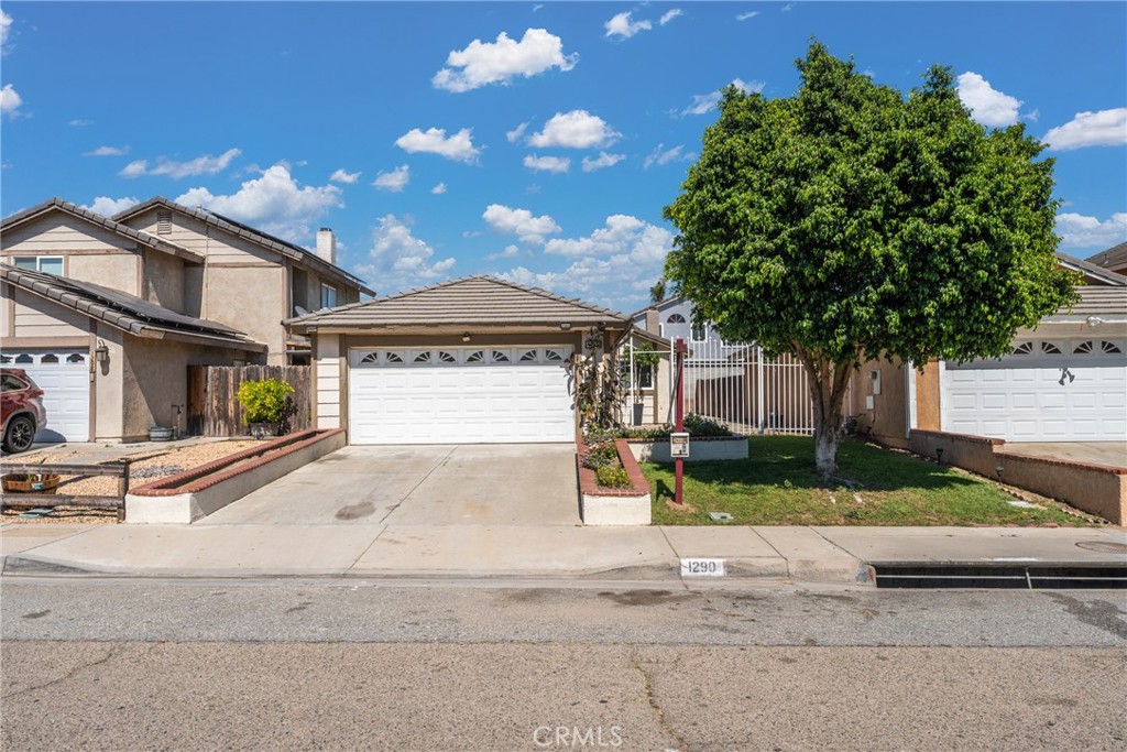 1290 N Coral Tree Road