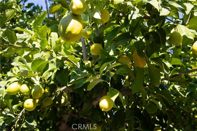 Detail Gallery Image 33 of 37 For 512 Spalding Ct, Merced,  CA 95348 - 3 Beds | 2 Baths