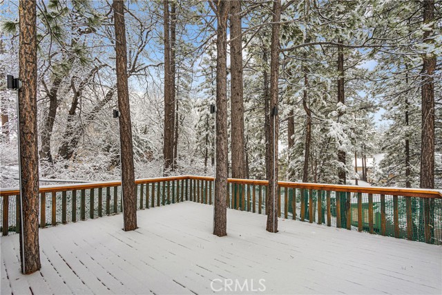 Detail Gallery Image 39 of 58 For 42363 Paramount Rd, Big Bear Lake,  CA 92315 - 3 Beds | 2 Baths