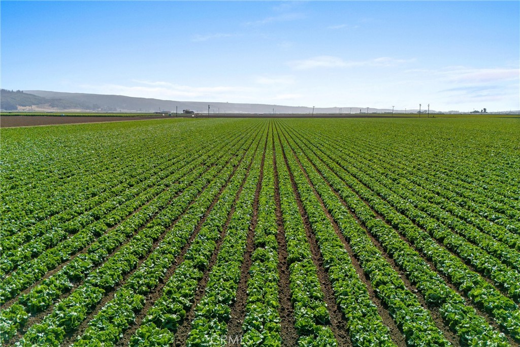 MLS #PI25199259 image #13