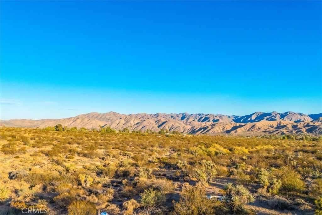 MLS #JT25260931 image #34