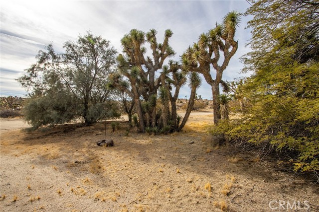 Detail Gallery Image 15 of 26 For 56422 Paseo Los Ninos, Yucca Valley,  CA 92284 - 1 Beds | 1 Baths