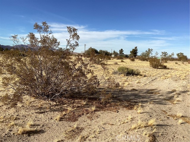 Detail Gallery Image 11 of 14 For 42979 Mandrill St, Newberry Springs,  CA 92365 - – Beds | – Baths