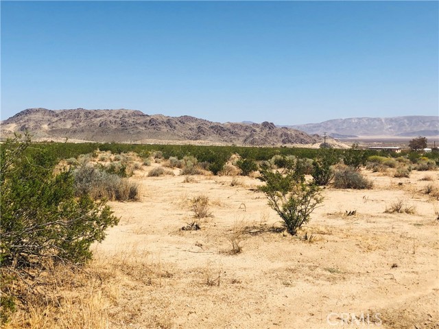 Detail Gallery Image 1 of 9 For 0 Near Dusty Mile Rd, Landers,  CA 92285 - – Beds | – Baths