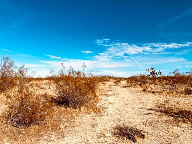 Detail Gallery Image 1 of 5 For 135 E 135 St E Ave, Pearblossom,  CA 93553 - – Beds | – Baths