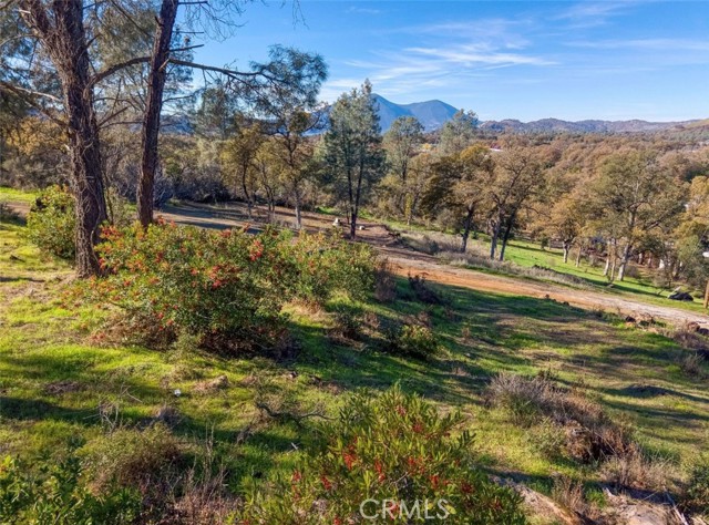 Front Image Thumbnail for CRLC25269610