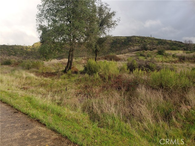 Detail Gallery Image 47 of 71 For 2470 Honey Run Rd, Chico,  CA 95928 - – Beds | – Baths