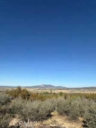 MLS #SW25227735 image #7