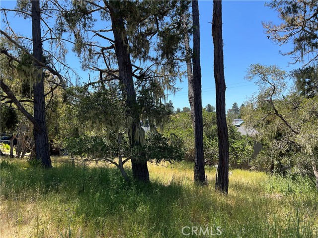 Detail Gallery Image 10 of 10 For 0 Alban Pl, Cambria,  CA 93428 - – Beds | – Baths