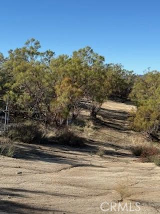 MLS #SW25227735 image #18