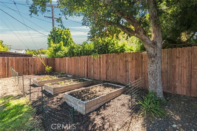 Garden Boxes