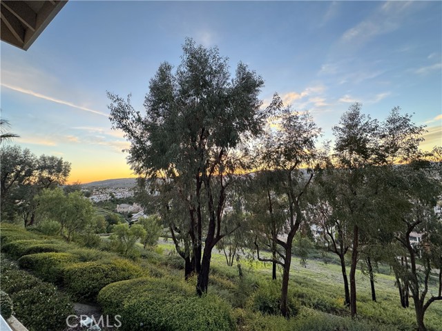 MLS# OC24003883