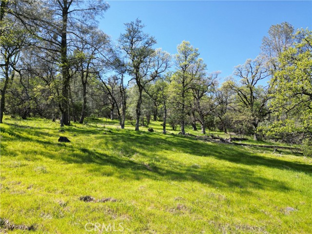 Detail Gallery Image 2 of 14 For 0 Hidden Mine Rd, Oroville,  CA 95965 - – Beds | – Baths