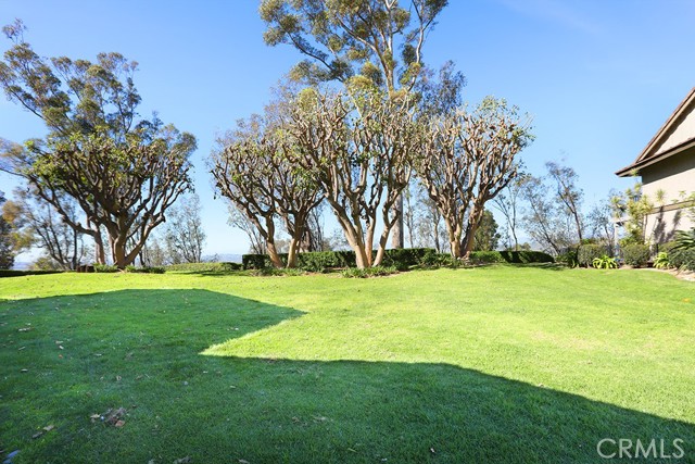 Detail Gallery Image 33 of 40 For 6520 E Paseo El Greco, Anaheim,  CA 92807 - 2 Beds | 2 Baths