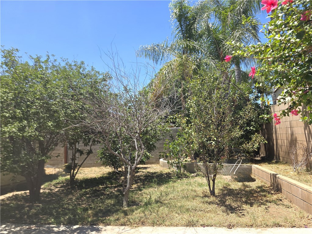 MLS #IG25248334 image #26