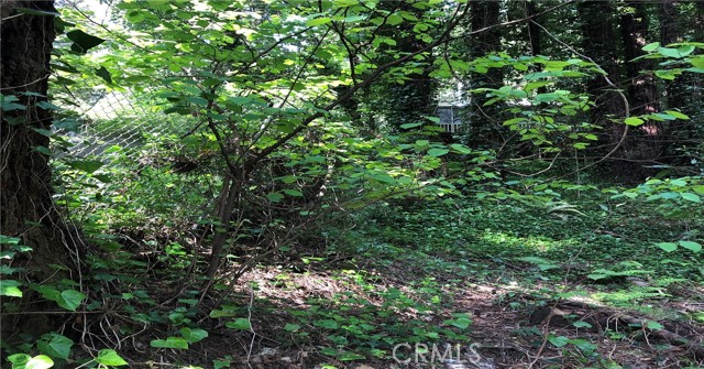 Image 3 of 13 For 18176 Hwy 116