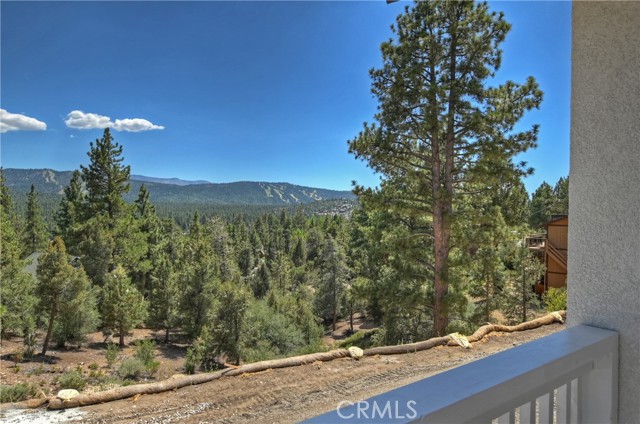 Detail Gallery Image 45 of 74 For 1101 Mound St, Big Bear City,  CA 92314 - 7 Beds | 4/2 Baths