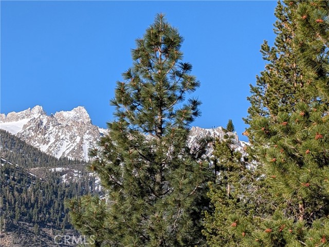 Detail Gallery Image 3 of 44 For 31 Matterhorn Dr, Bridgeport,  CA 93517 - 3 Beds | 2 Baths