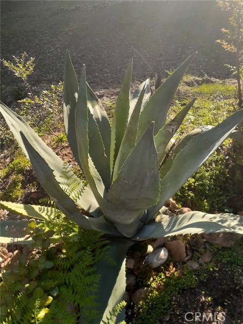 Detail Gallery Image 47 of 58 For 38160 Ocean Ridge Dr, Gualala,  CA 95445 - – Beds | – Baths