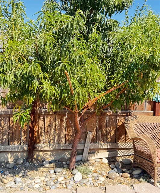 Detail Gallery Image 55 of 63 For 30912 Tadpole St, Visalia,  CA 93291 - 3 Beds | 2 Baths