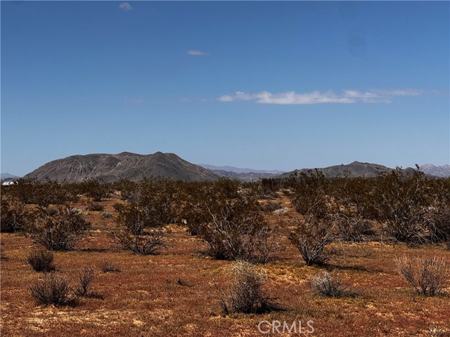Detail Gallery Image 3 of 10 For 0 Orion Dr, Joshua Tree,  CA 92252 - – Beds | – Baths