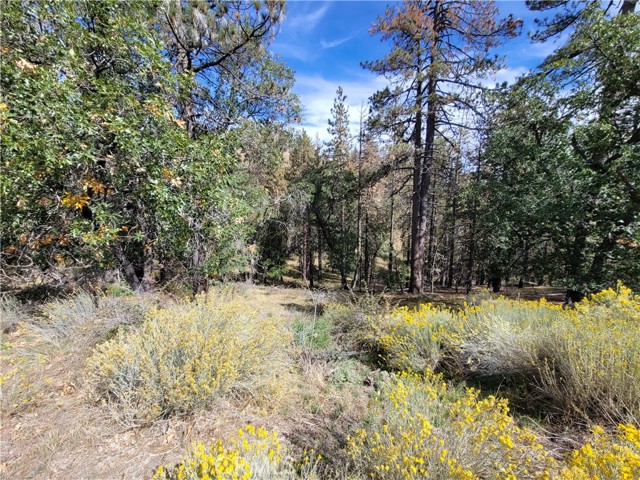 Detail Gallery Image 2 of 6 For 25840 Wilderness Way, Tehachapi,  CA 93561 - – Beds | – Baths