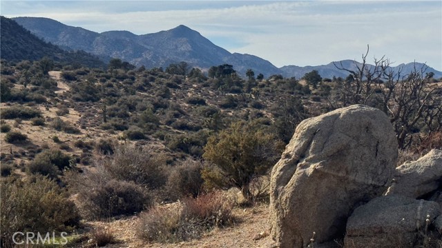 48317 Burns Canyon Road, Pioneertown CA: https://media.crmls.org/medias/a8cf0444-4c5d-4a5f-bfab-ac39ffb4bd9f.jpg