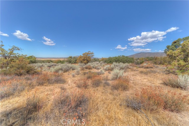 Image 9 of 33 For 0 Wellman  