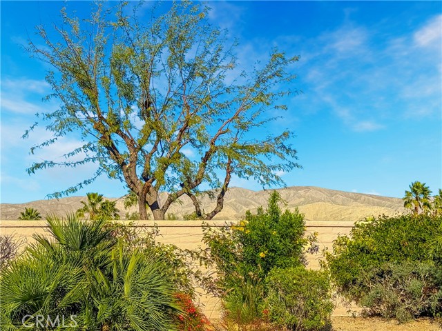 Detail Gallery Image 30 of 36 For 81678 Camino Vallecita, Indio,  CA 92203 - 2 Beds | 2/1 Baths
